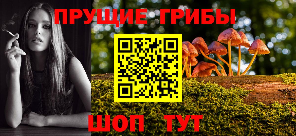 Псилоцибиновые грибы GOLDEN TEACHER Северобайкальск