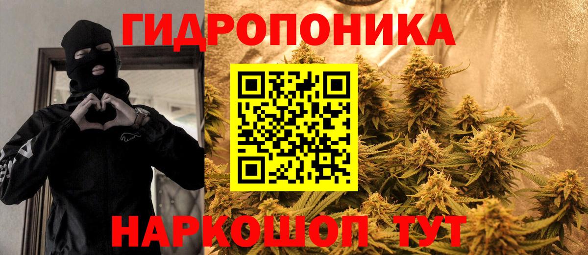 Бошки марихуана планчик  Бошки Шишки OG Kush  Вход с VPN  Бошки марихуана SATIVA & INDICA  Северобайкальск 